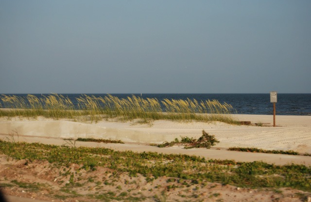 [DSC_0343 copy 2[4].jpg]